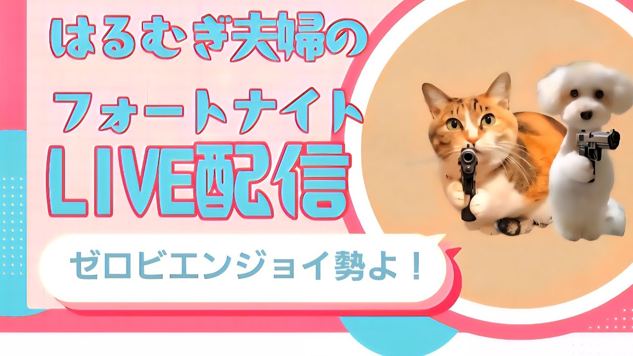 30代 猫好き夫と犬好き妻、フレンドさんの フォートナイト ゼロビルド配信 #153