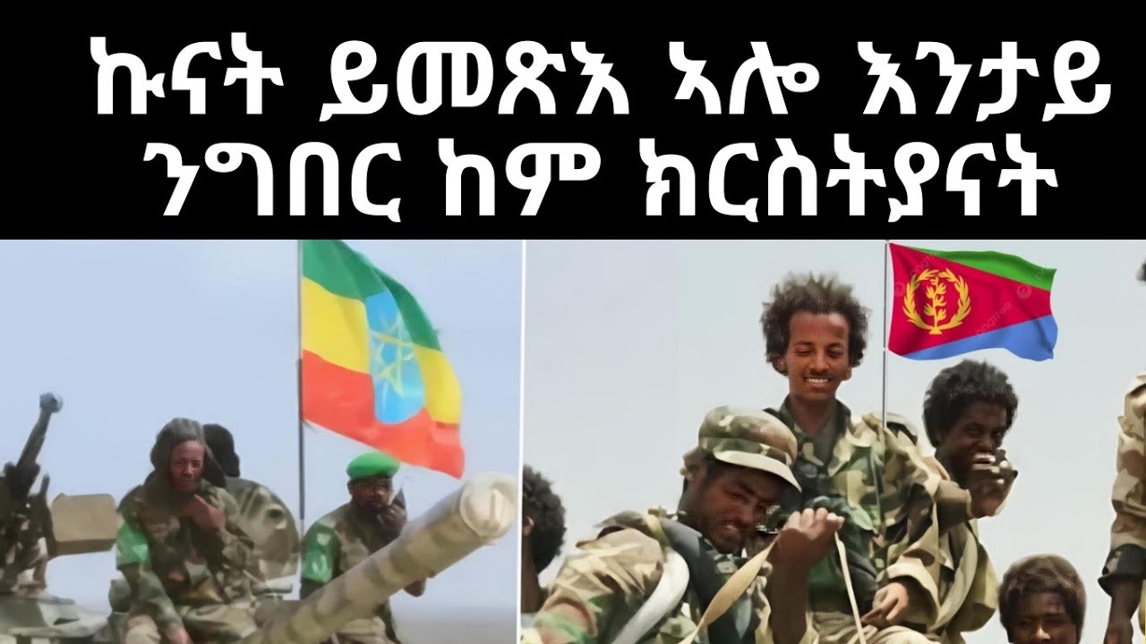 ኩናት ይመጽእ ኣሎ እንታይ ንግበር