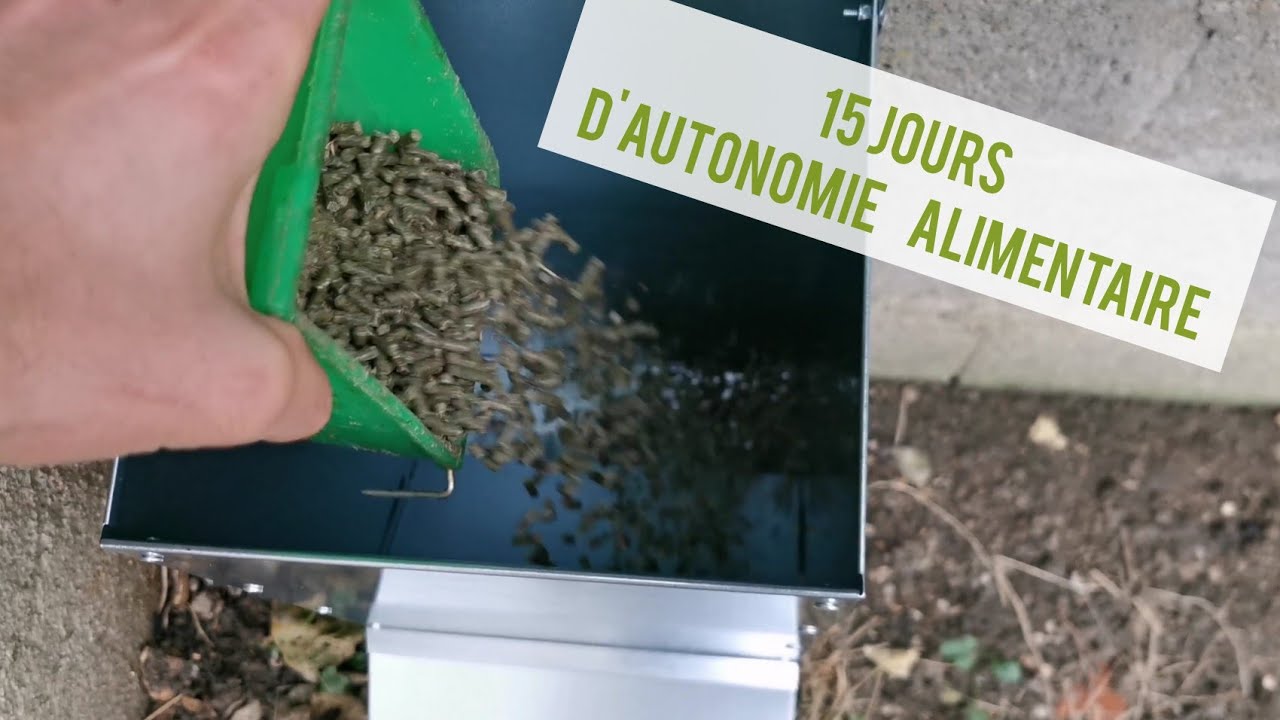 LAPINS EN LIBERTE : ne plus les nourrir quotidiennement