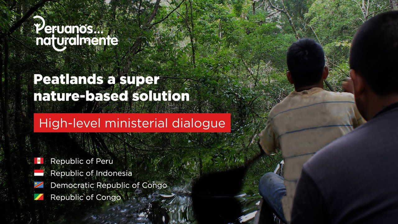 Peatlands a super nature-based solution - English translation
