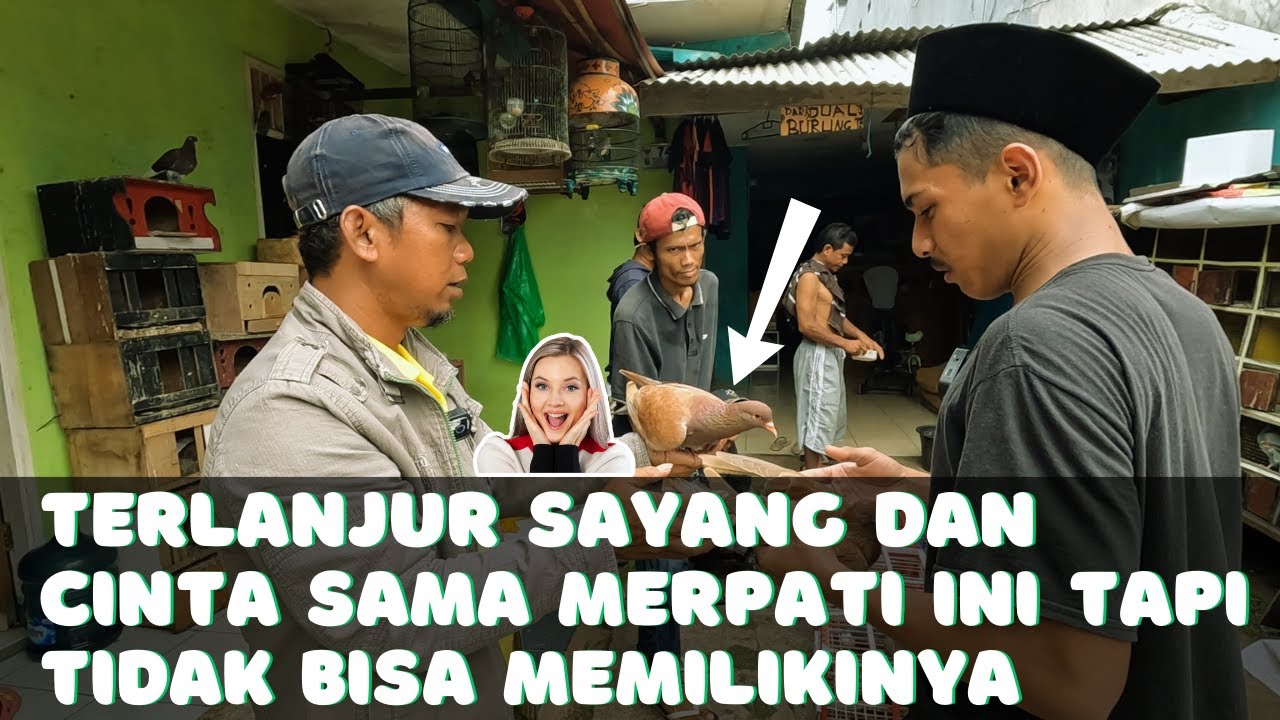 Anjay !! Pilih Pilih Merpati Sampai Puas.. Endingya Bikin Nyesek !!!