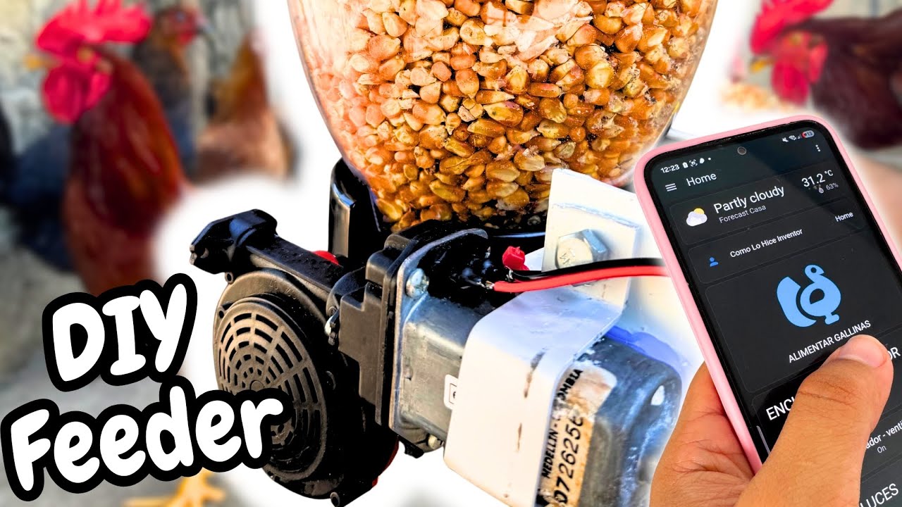 ALIMENTO mis GALLINAS desde el CELULAR 😱🐔 Tecnología Rural🚀