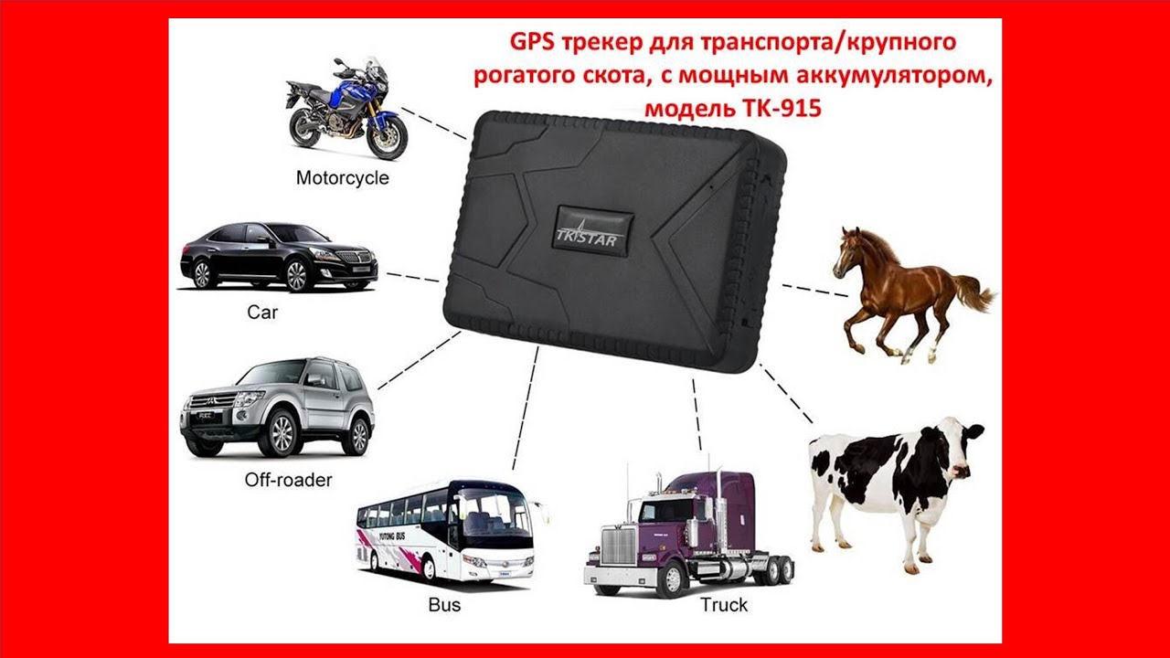 GPS трекер для транспорта/крупного рогатого скота, с мощным аккумулятором, модель TK-915