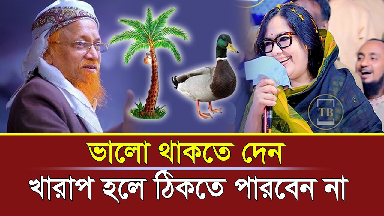Jonaid Al Habib ভালো থাকতে দেন, নয়তো বহুত খারাপ হবে | Rumeen Farhana | Election | TokTak Binodon
