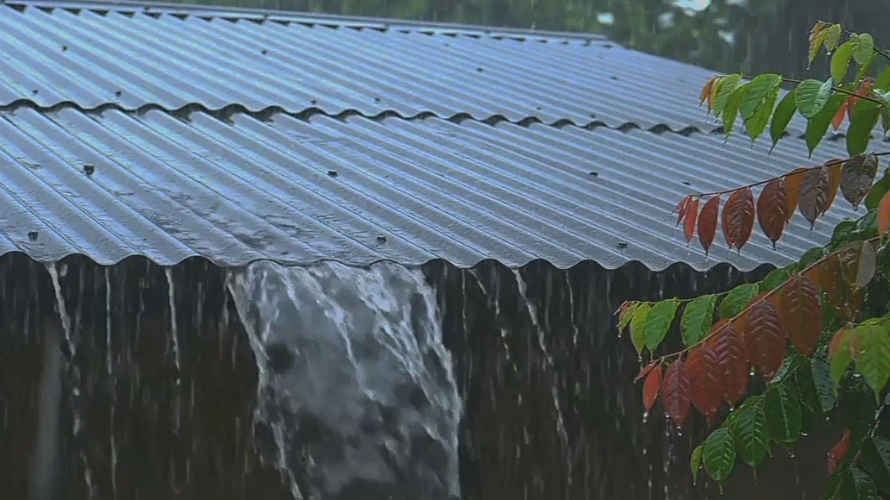Your insomnia is gone after listening to this rain sound