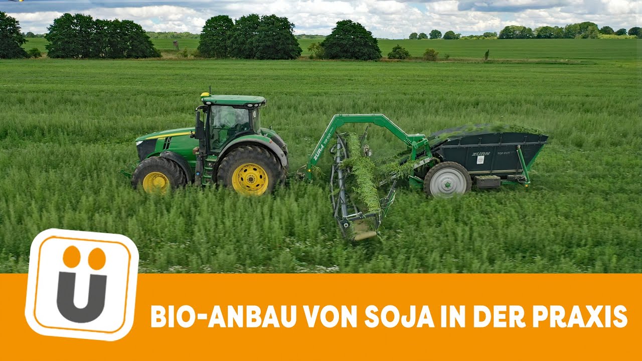 Bio Sojaanbau bei der EZ Fürstenhof in der Praxis