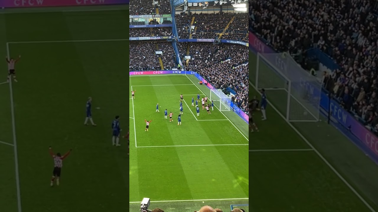 Wilson Isidor goal Sunderland v Chelsea #safc #sunderland #premierleague #chelseafc