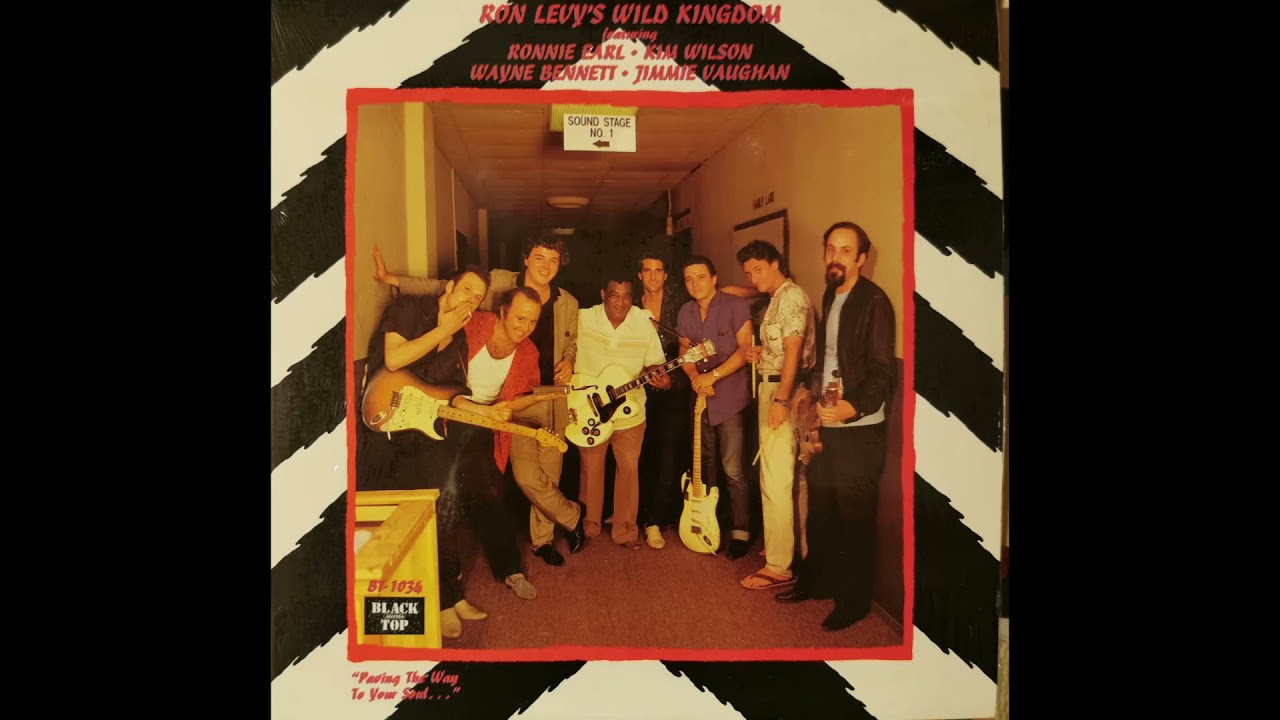 Ron Levy's Wild Kingdom -   Big Town Playboy