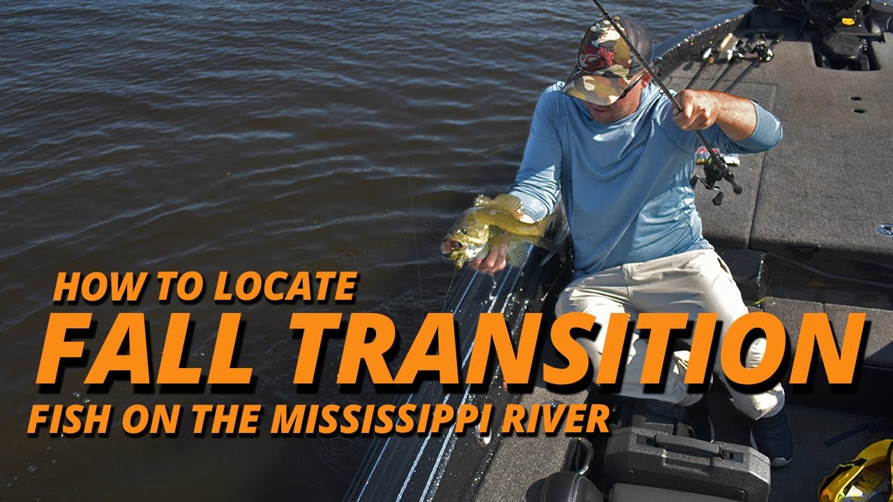 How to Locate Fall Transition Fish on the Mississippi River