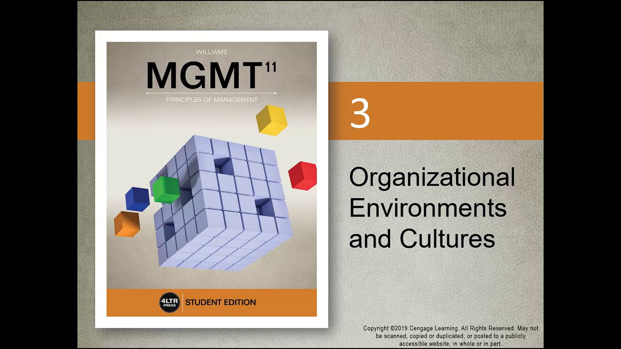 Ch3 Organizational Environments and Cultures