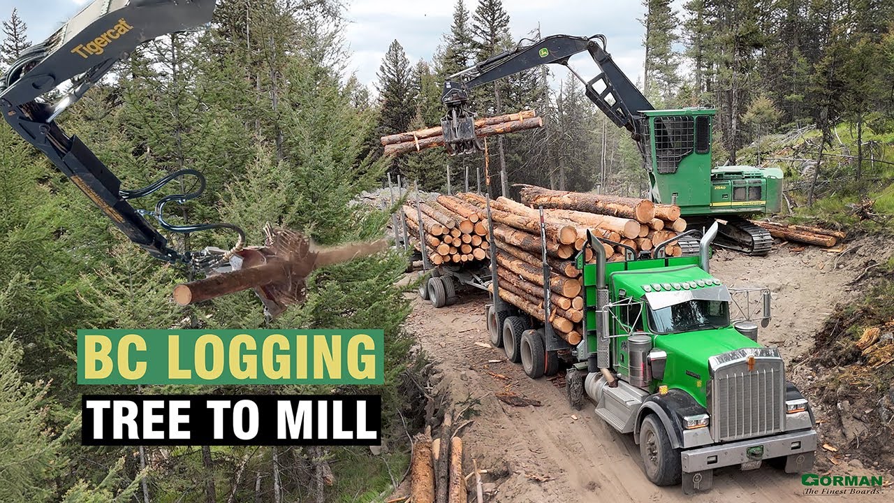 Tree to Mill. A look at logging with Gorman Mill in West Kelowna.