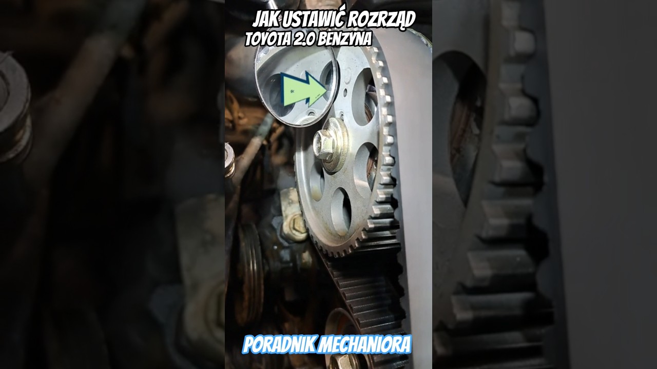 USTAWIE ROZRZĄDU W 2.0 BENZYNA TOYOTA RAV4 #timingbelt #enginefailure #toyotaengine #satisfyingvideo