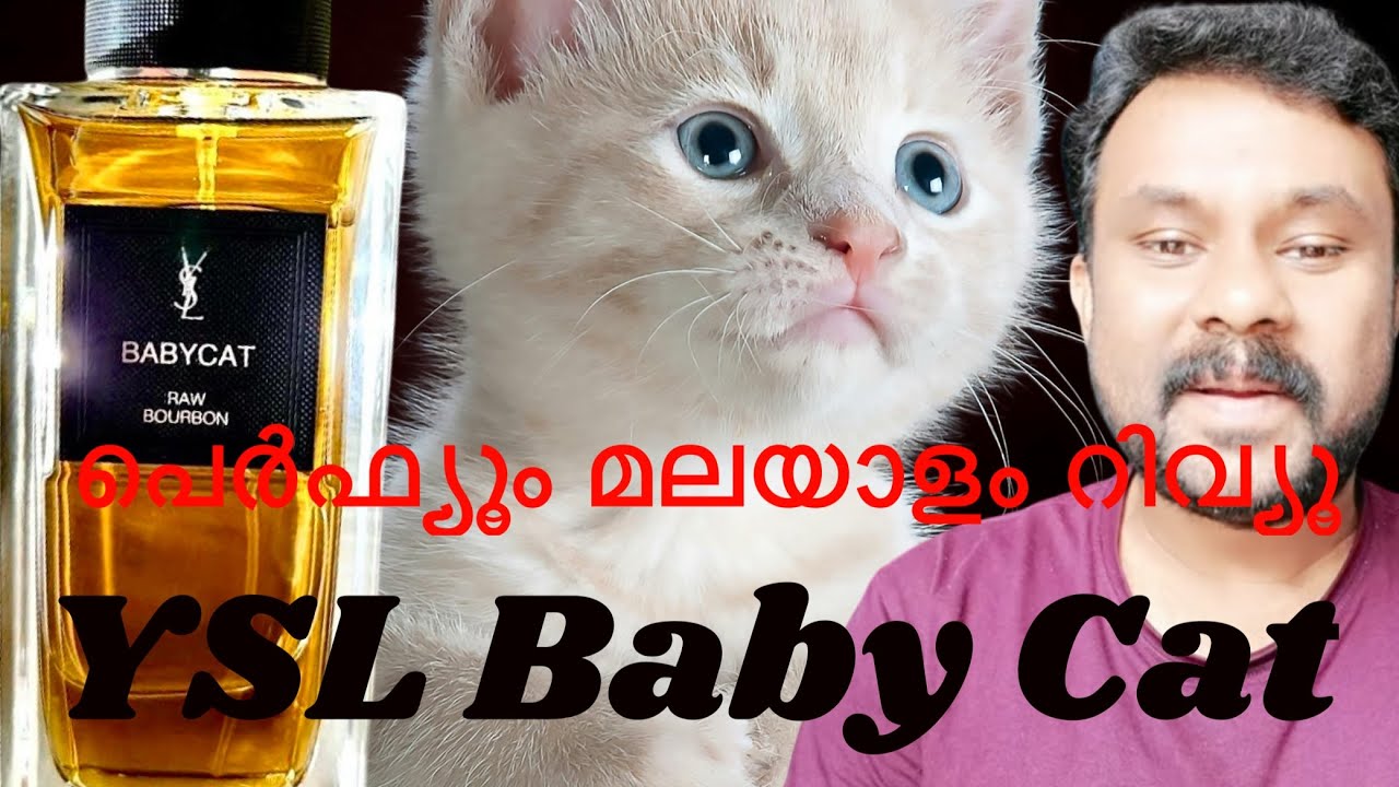 ഈ പെർഫ്യൂം അടിച്ചാൽ നിങ്ങളെ ആളുകൾ മണത്തുകൊണ്ടേ ഇരിക്കും Best Classy elegant Unisex പെർഫ്യൂം 