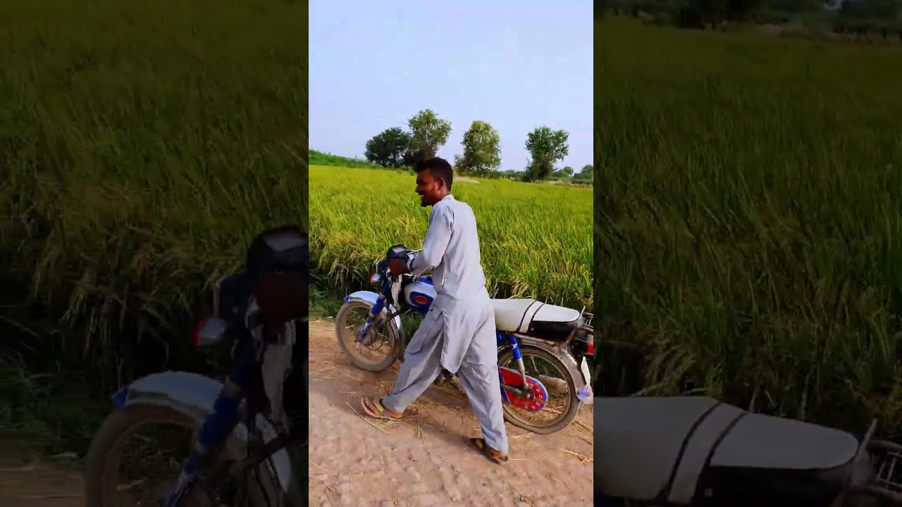 Bike Pungchur ho gai no mony #shorts