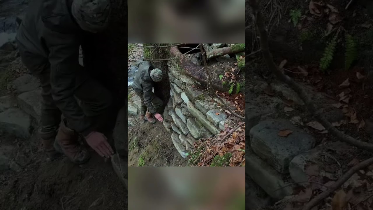 #aloneintheforest