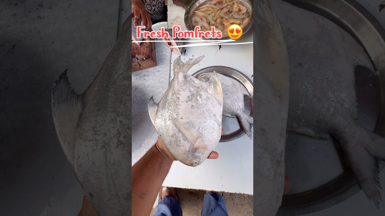 #shorts#viral#trending#sea#seafood#reels#youtubeshorts#fishcutting#pomfret#mumbai#fishing#love#ok#yt