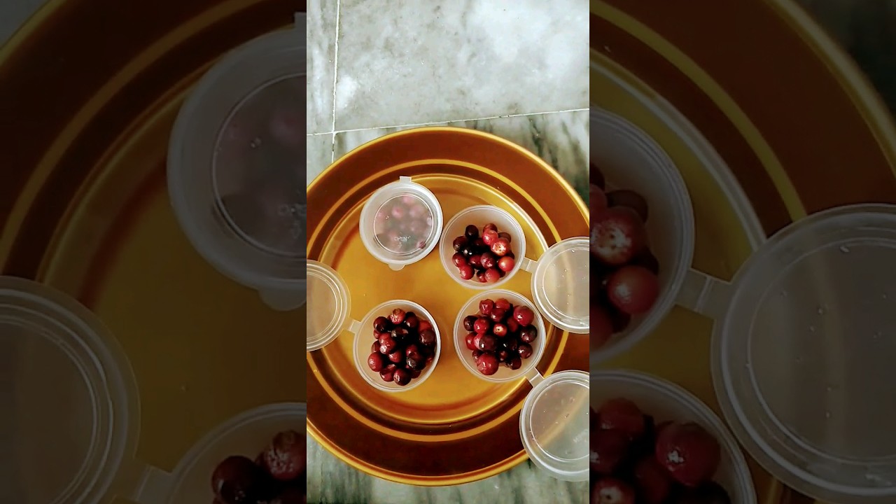 store falsa for summer drink