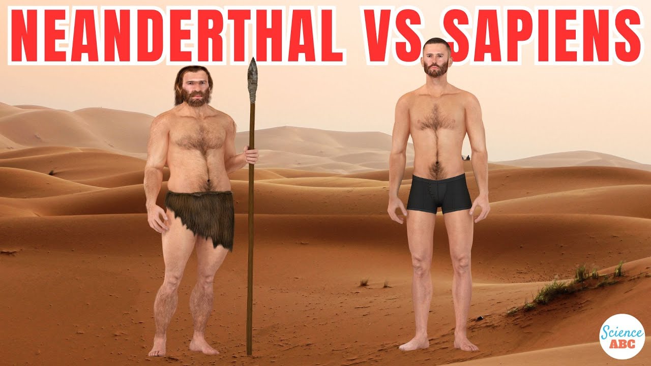Neanderthals Vs Homo Sapiens: Different Species Or Subspecies?