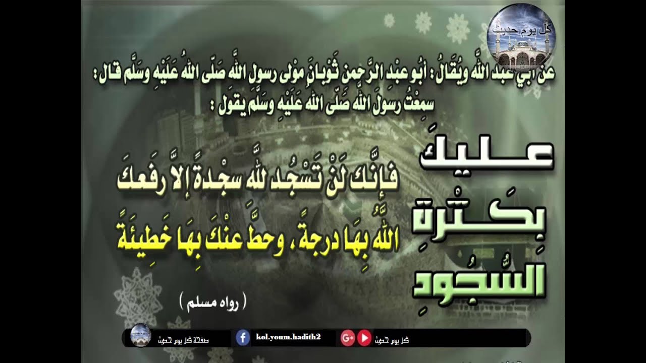 شرح الحديث : عليك بكثرة السجود فإنك لن تسجد لله سجدة إلا ورفع الله بها درجة