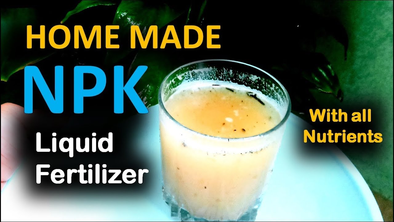 how to make organic npk liquid fertilizer at home
