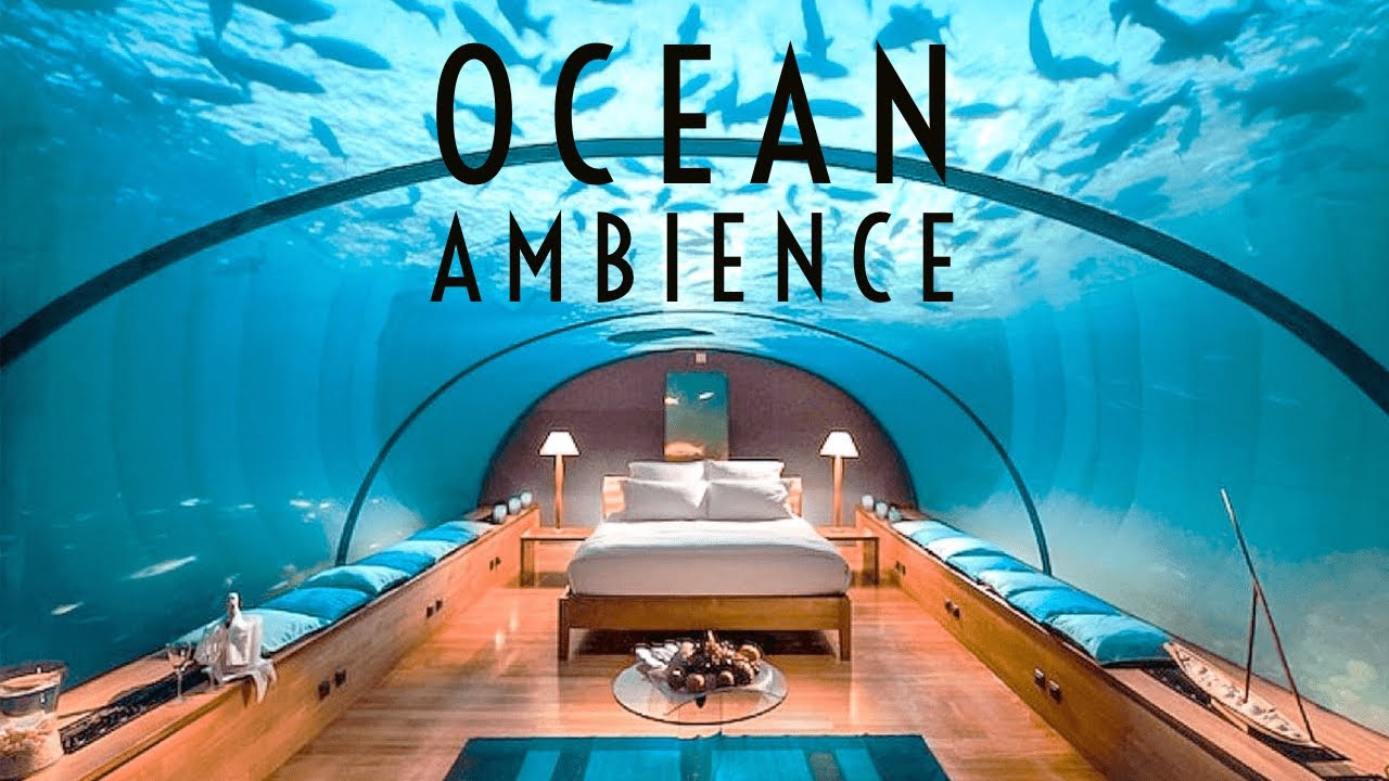 1 Hour Ocean Ambience 🌊 | Relax & Fall Asleep 💤 | Black Screen
