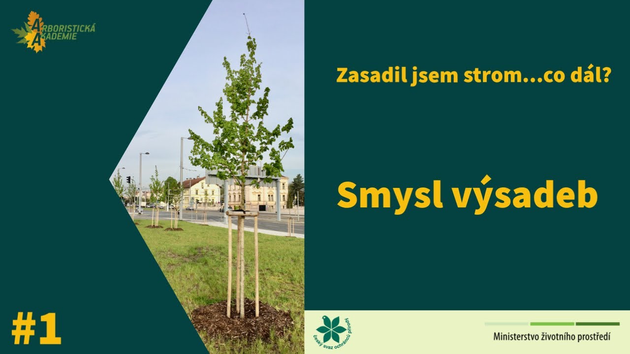 Zasadil jsem strom &hellip; co d&aacute;l? / #1 / Smysl v&yacute;sadeb