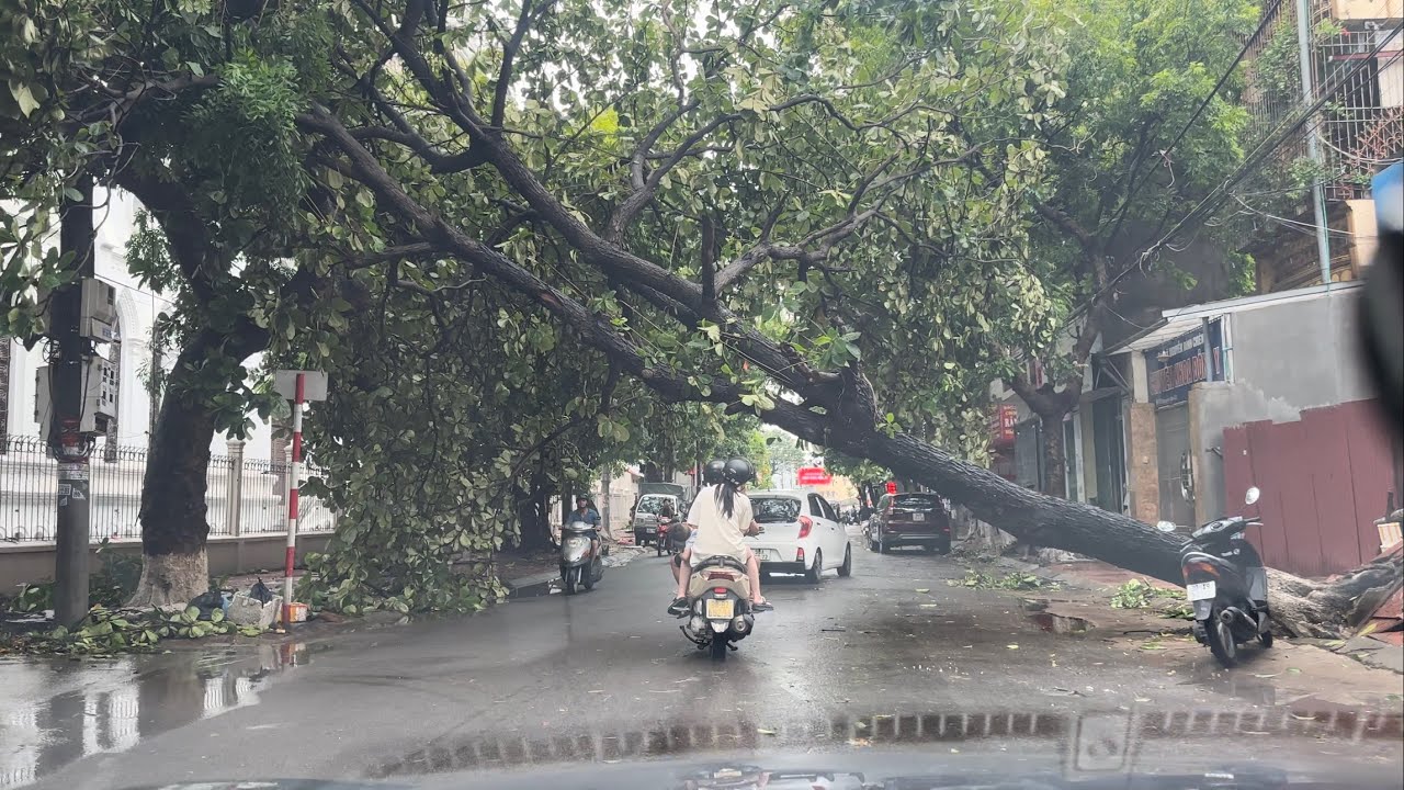 Thành phố Bắc Giang sau bão Yagi