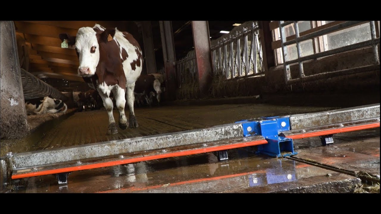 Manure Scrapers (available in Europe) (English)