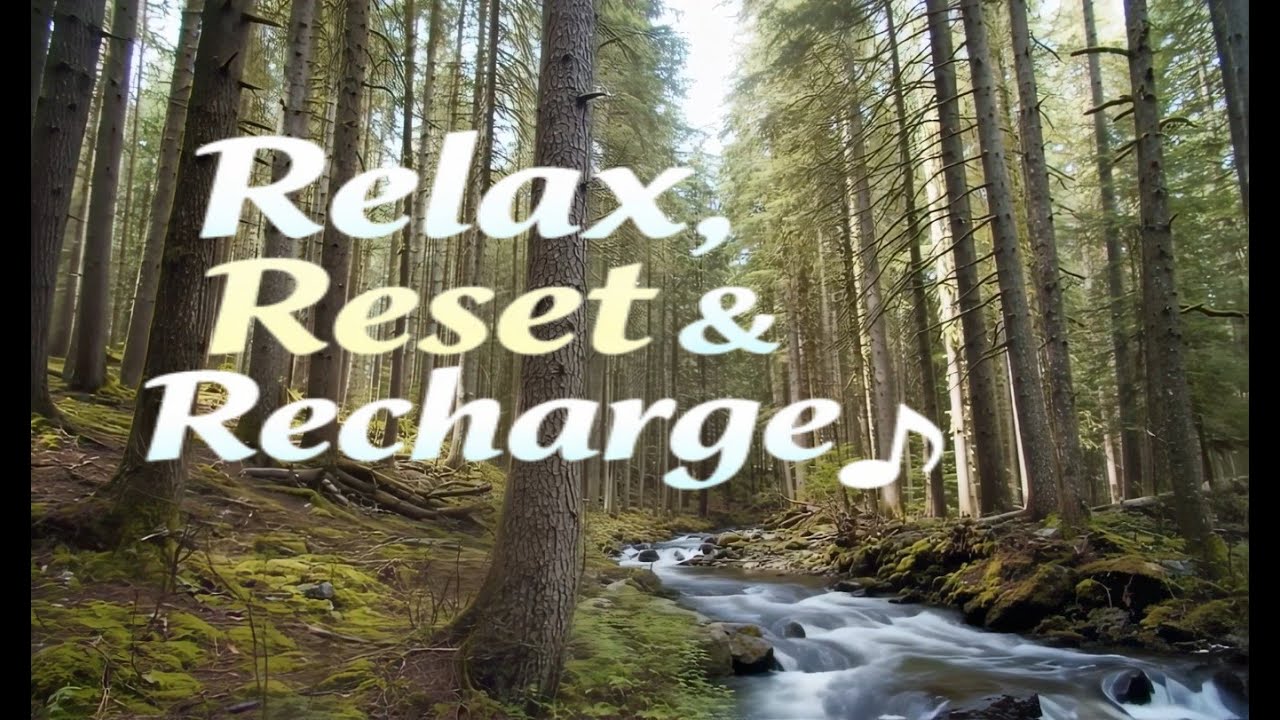 Relax Your Mind: Rain & Forest Music for Peaceful Moments