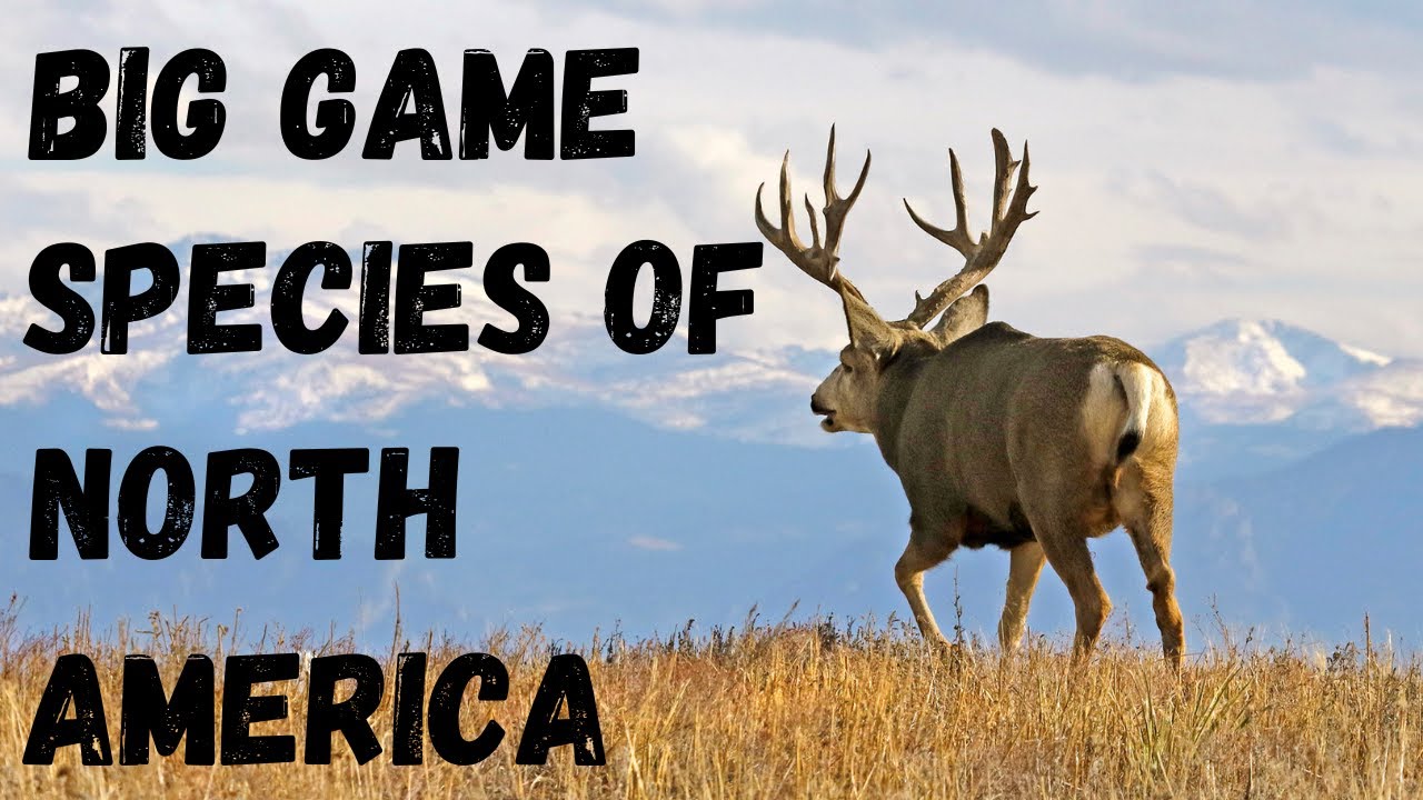The Big Game Animals of North America: A species guide with range maps