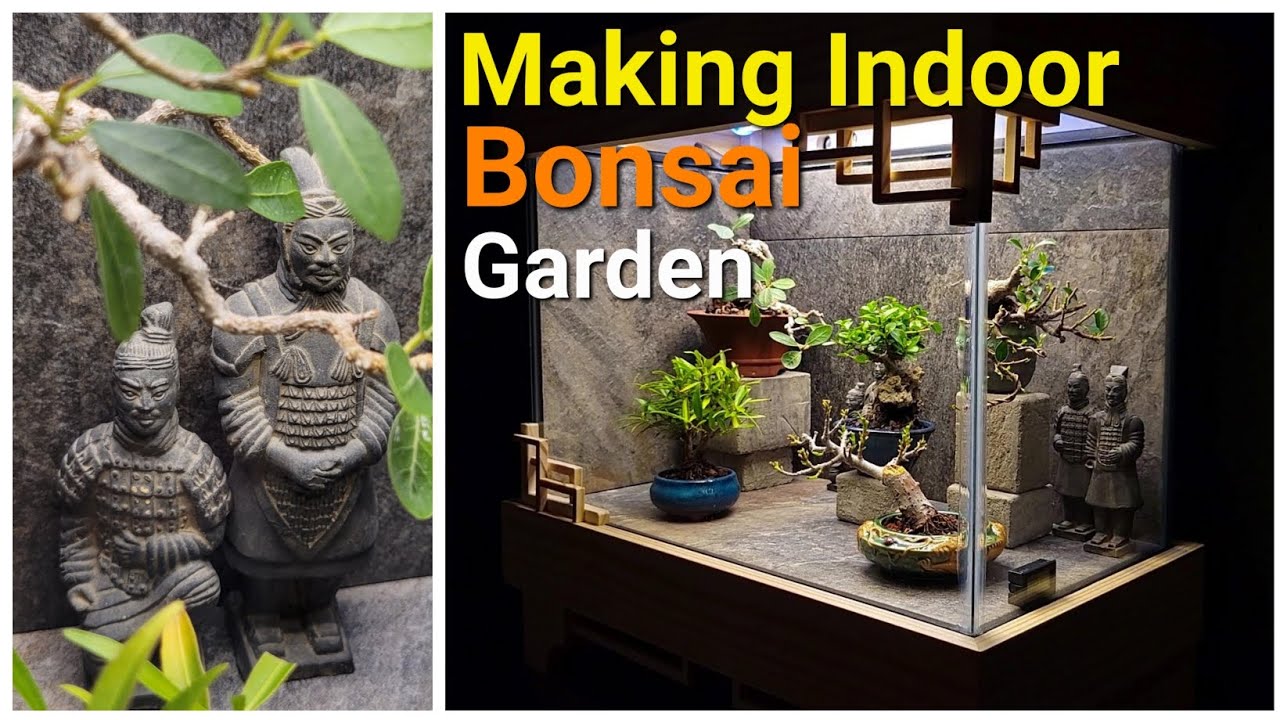 Building Bonsai Grow Box and Display for Indoor Tropical Bonsai Trees. Miniature Bonsai garden.