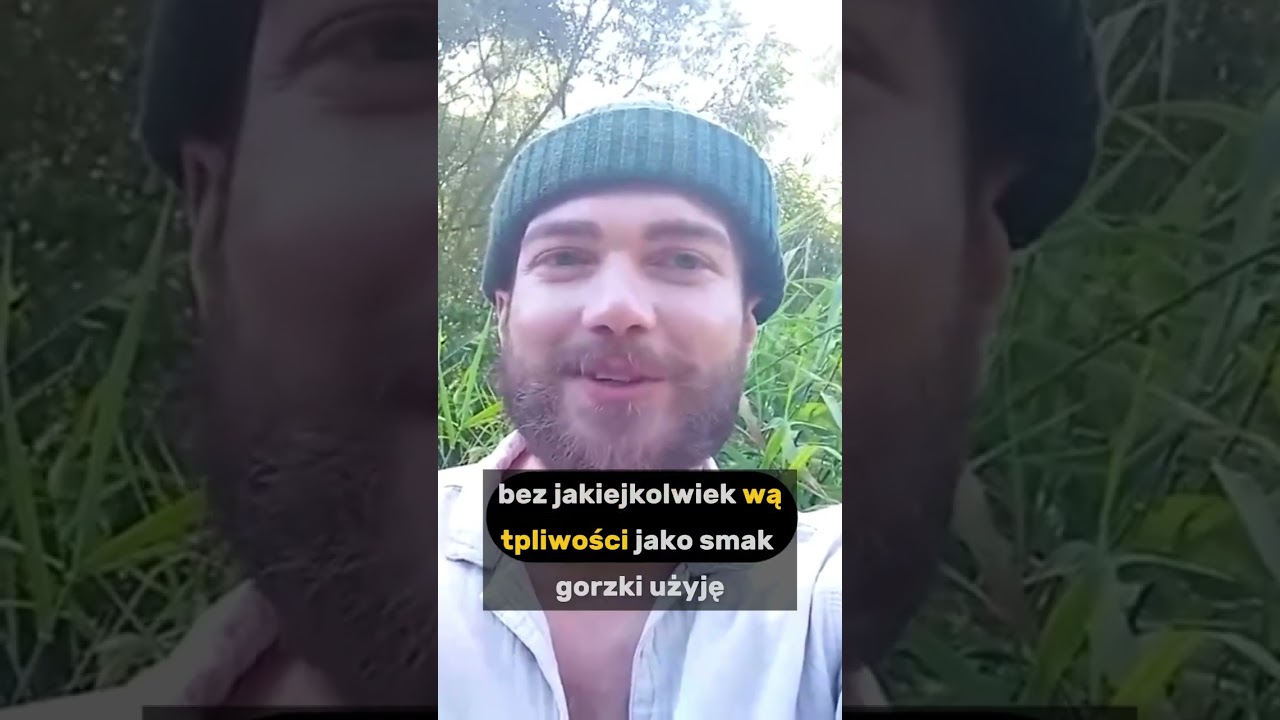 Gorzki smak perfum: poznaj intensywny aromat galbanum, kt&oacute;ry zaskakuje!
