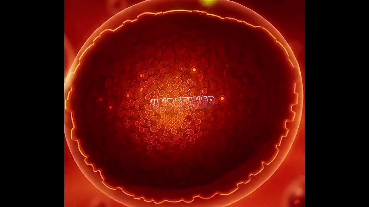UNDEFINED EP 02. QUE COMECE OS TESTES!