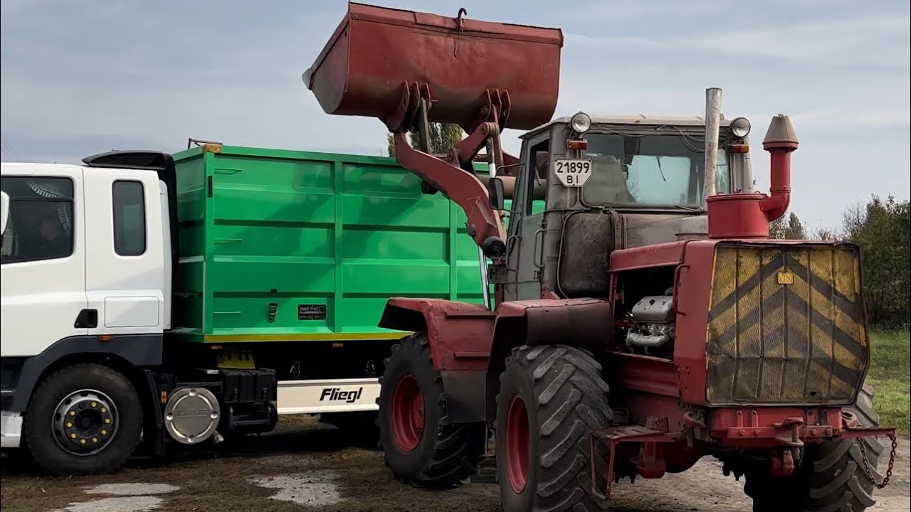 Наш «manitou” 😂 легендарний Т-156 🚜, загрузка кукурудзи🌽 , обробка поля після соняшника 🌻YouTube