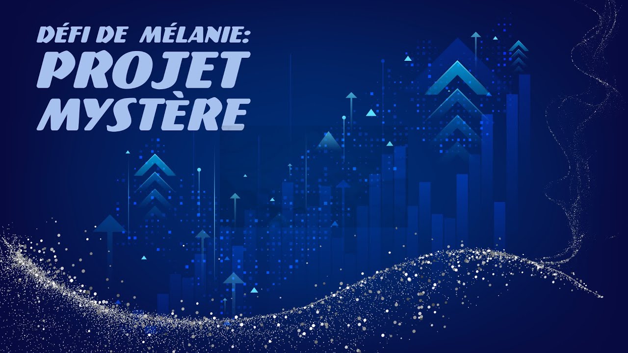 🪡 Défi de Mélanie: Projet Mystère !!! 