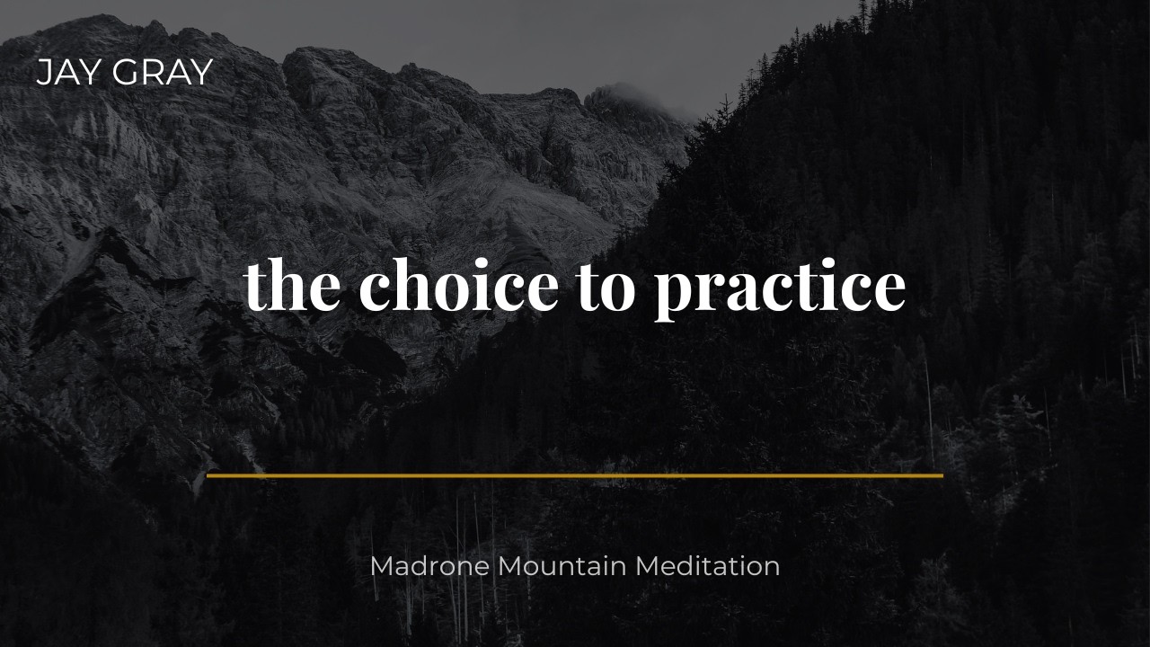 Short Dhamma Talk: What Is Free Will, Really?