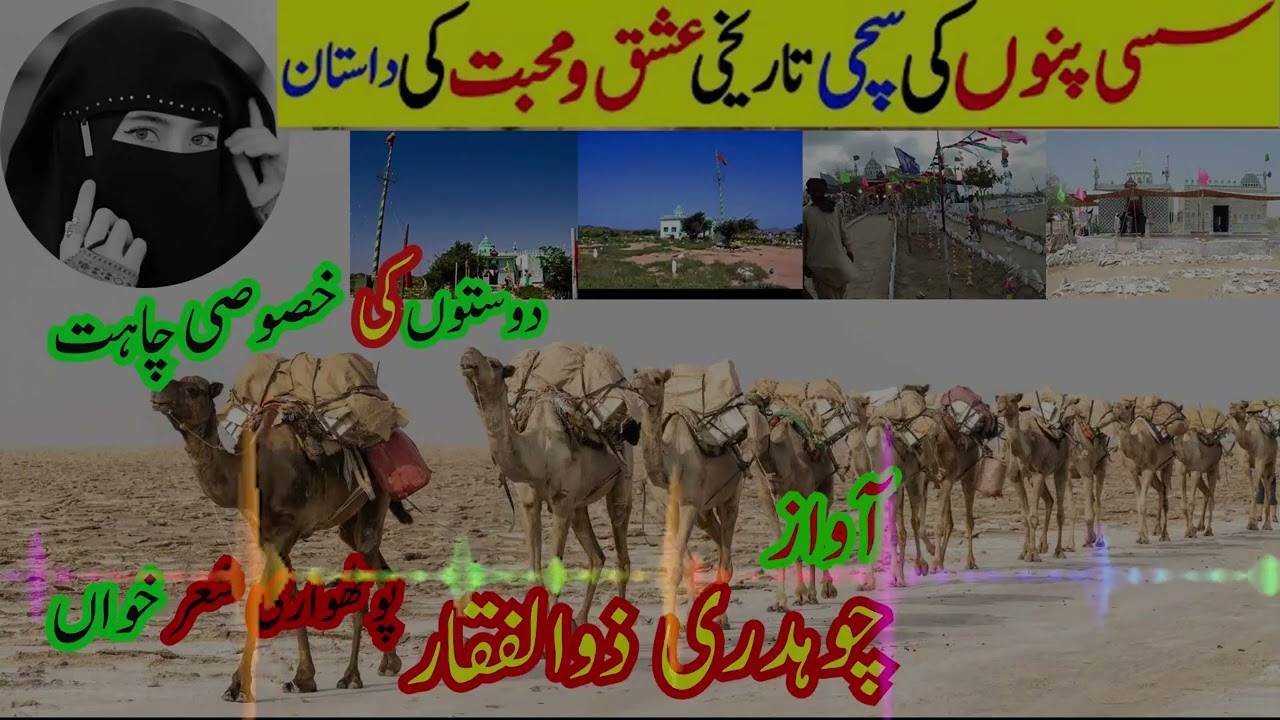 Ch Zulfiqar Pothwari Baint
