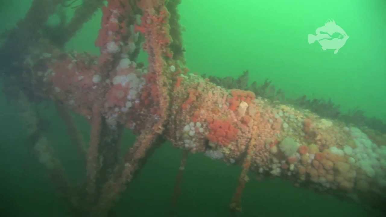 Diving on the wreck of the SS Hispania (Mull)