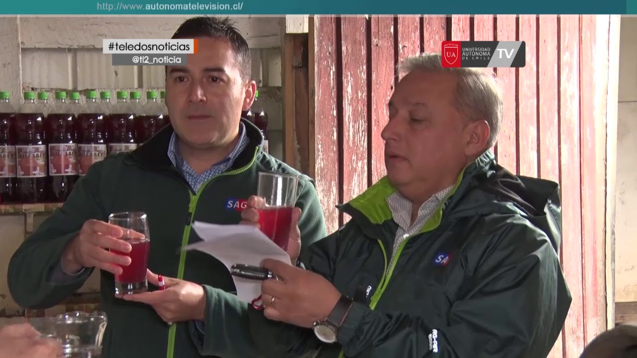 SAG inici&oacute; fiscalizaci&oacute;n de la tradicional chicha de uva