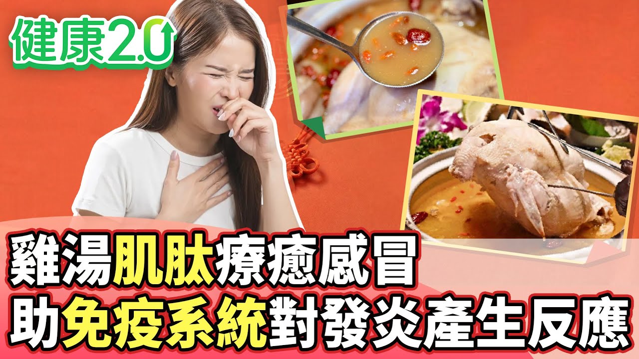 雞湯肌肽療癒感冒 助免疫系統對發炎產生反應【健康2.0分段】@tvbshealth20 EP3171-1 20260207 #鄭凱云#林謂文#劉怡里#溫士凱#阿松#陳之穎
