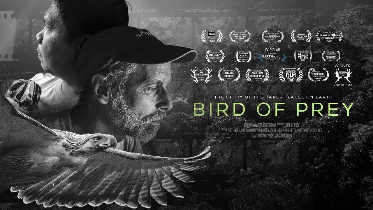 Bird Of Prey Movie: Trailer