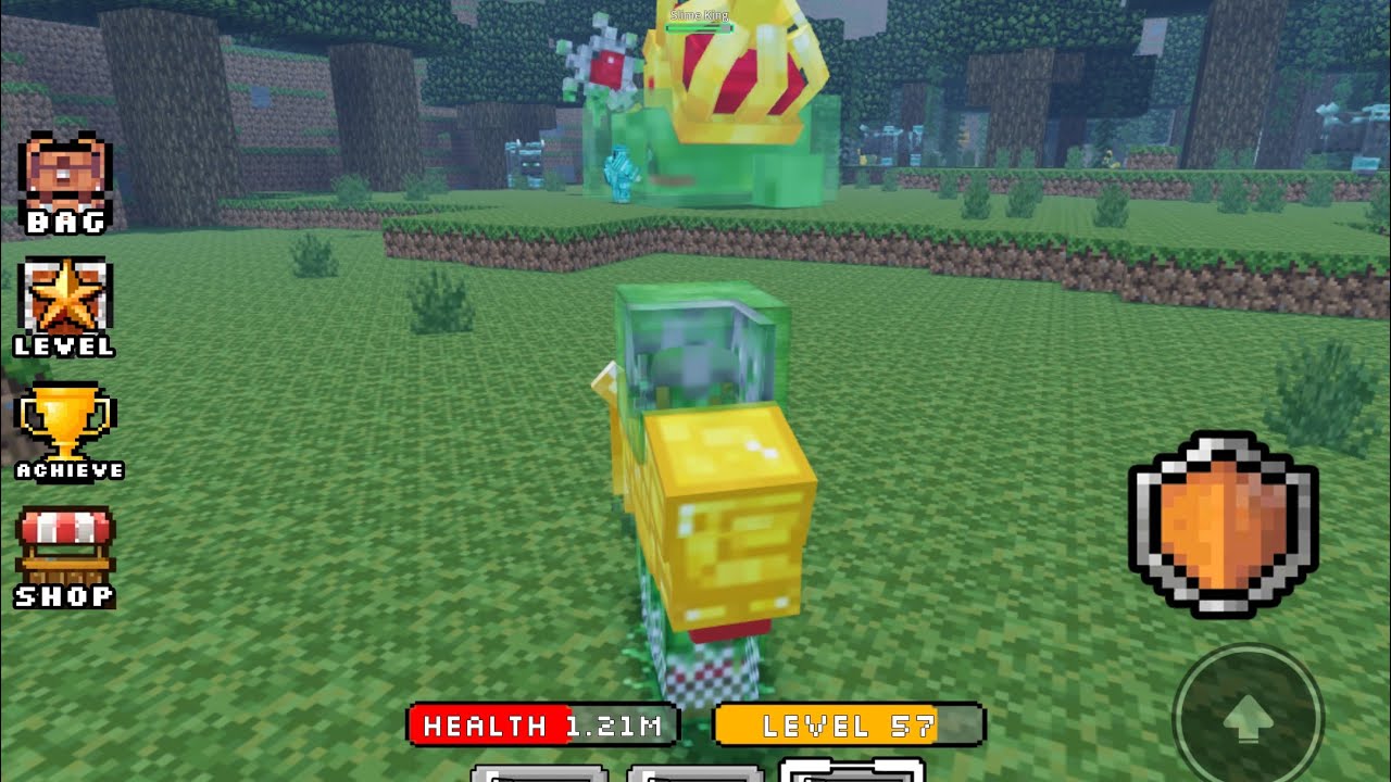 Kill SLIME KING 