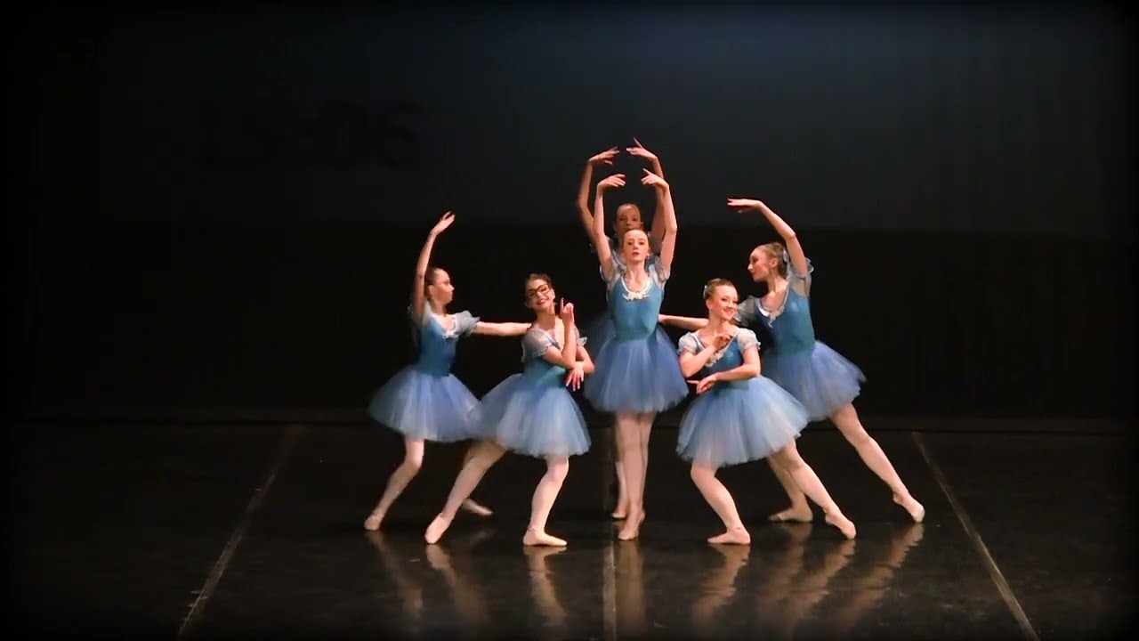 Mistake Waltz | Dancing crown competition 2017