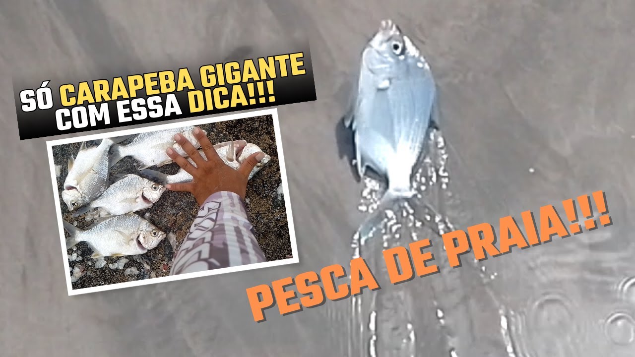 MUITA A&Ccedil;&Atilde;O COM ESSA DICA, S&Oacute; CARAPEBA GIGANTE - PESCA DE PRAIA EM OLINDA!