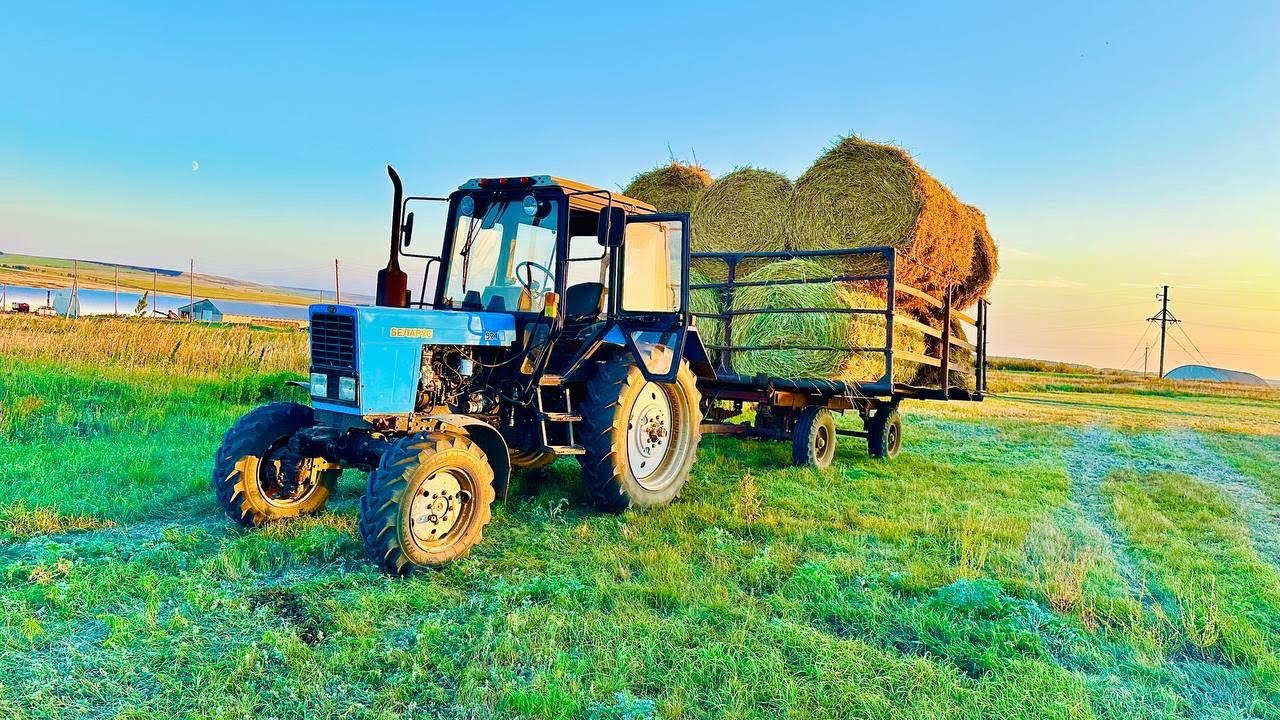 Сенокос. Косим, рулоним, перевозим суданку
