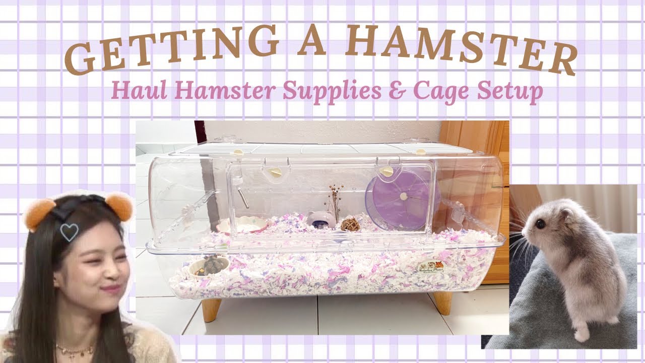 Getting A Hamster | Haul Supplies | Cage Setup (Malaysia)