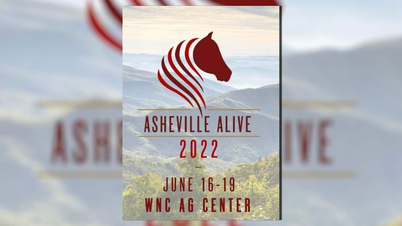 Asheville Alive 2022- Piedmont Paso Fino Horse Association Day 02
