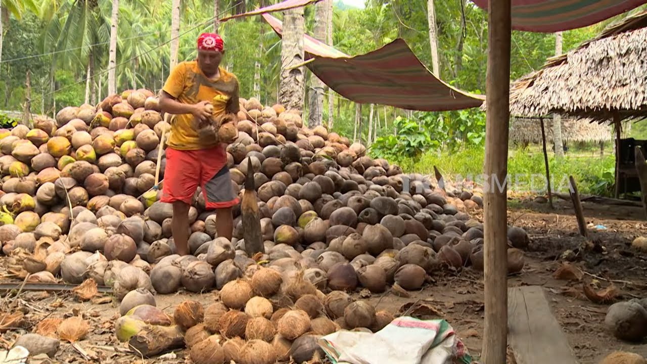 Cara Mudah Membuat Minyak Goreng | JEJAK SI GUNDUL (02/03/26)