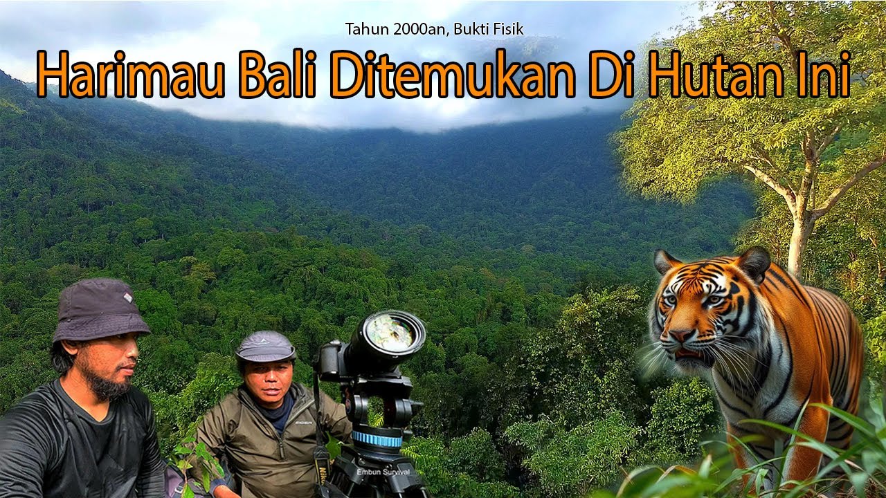 Mencari Keberadaan Harimau Bali. Bukti Fisik Di Temukan Di Kawasan Hutan Ini. Bushcraft Trip