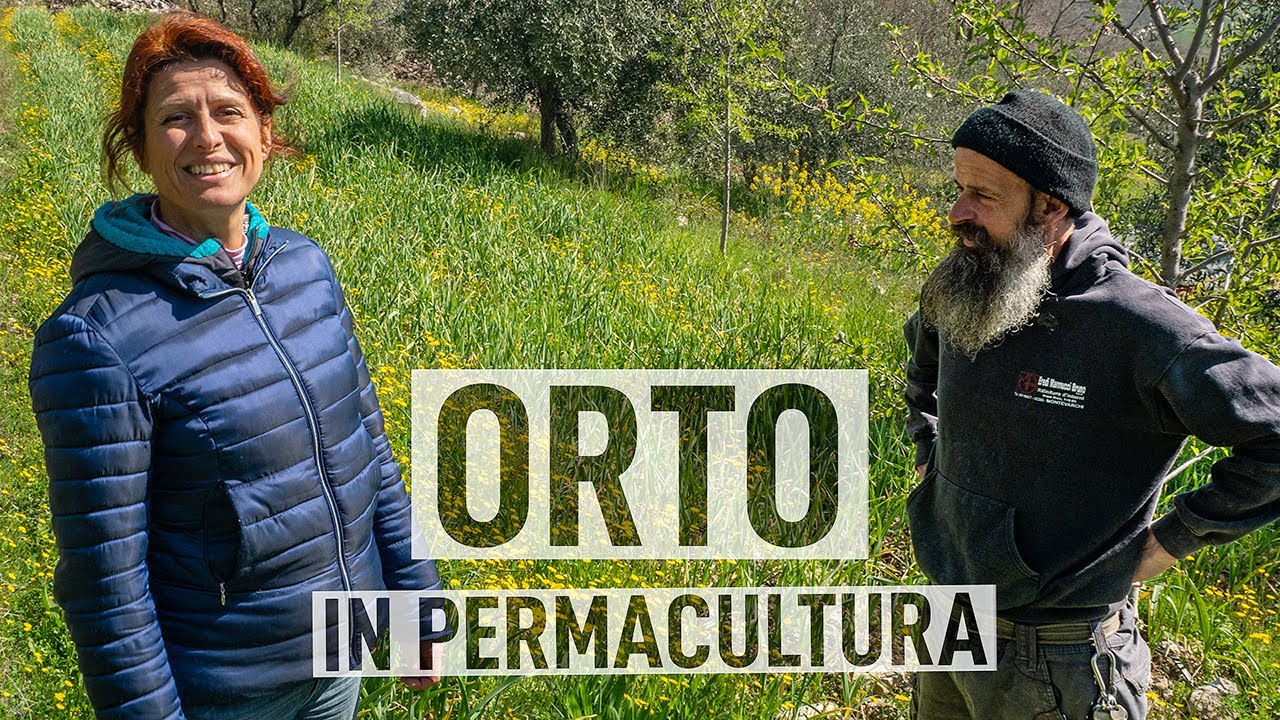 Trucchi e segreti dell'ORTO di LORENZO COSTA 🍅